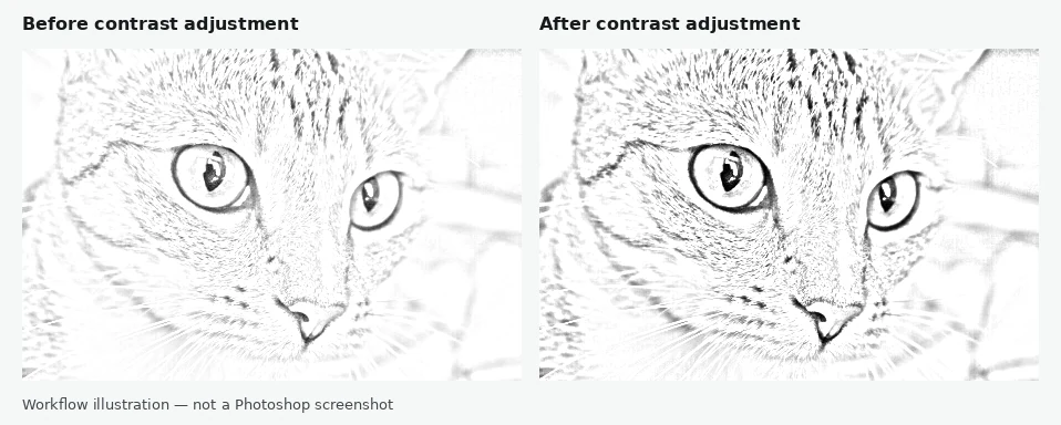 Pencil-style filter illustration before and after a contrast adjustment