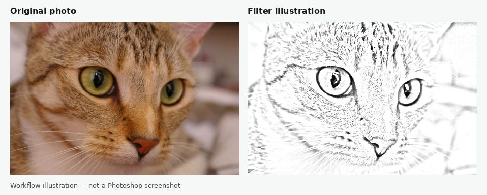 Original cat photo beside an illustrative pencil-style filter result
