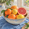 Citrus still life rendered as a colored pencil drawing